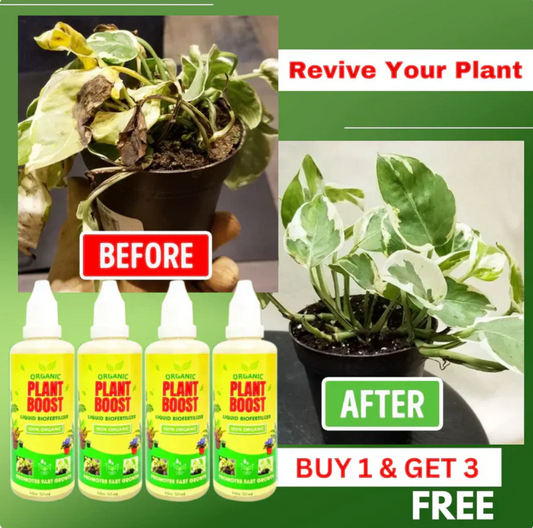 Organic Plant Boost Liquid Bio fertilizer (Buy 1 Get 3 Free)